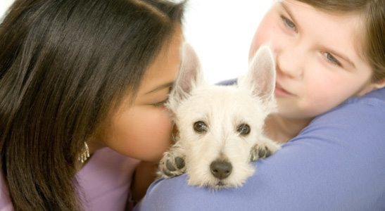 Ranking Arizona: Top 10 animal hospitals for 2020 - AZ Big Media Ranking Arizona: Top 10 animal hospitals for 2020 - AZ Big Media