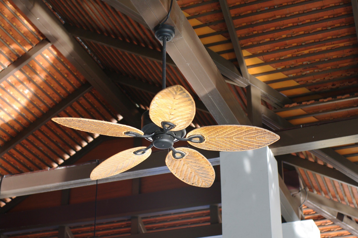 Outdoor ceiling fans: Benefits and things you need to know - AZ Big Media