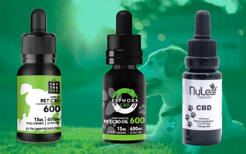 is there cbd for dogs