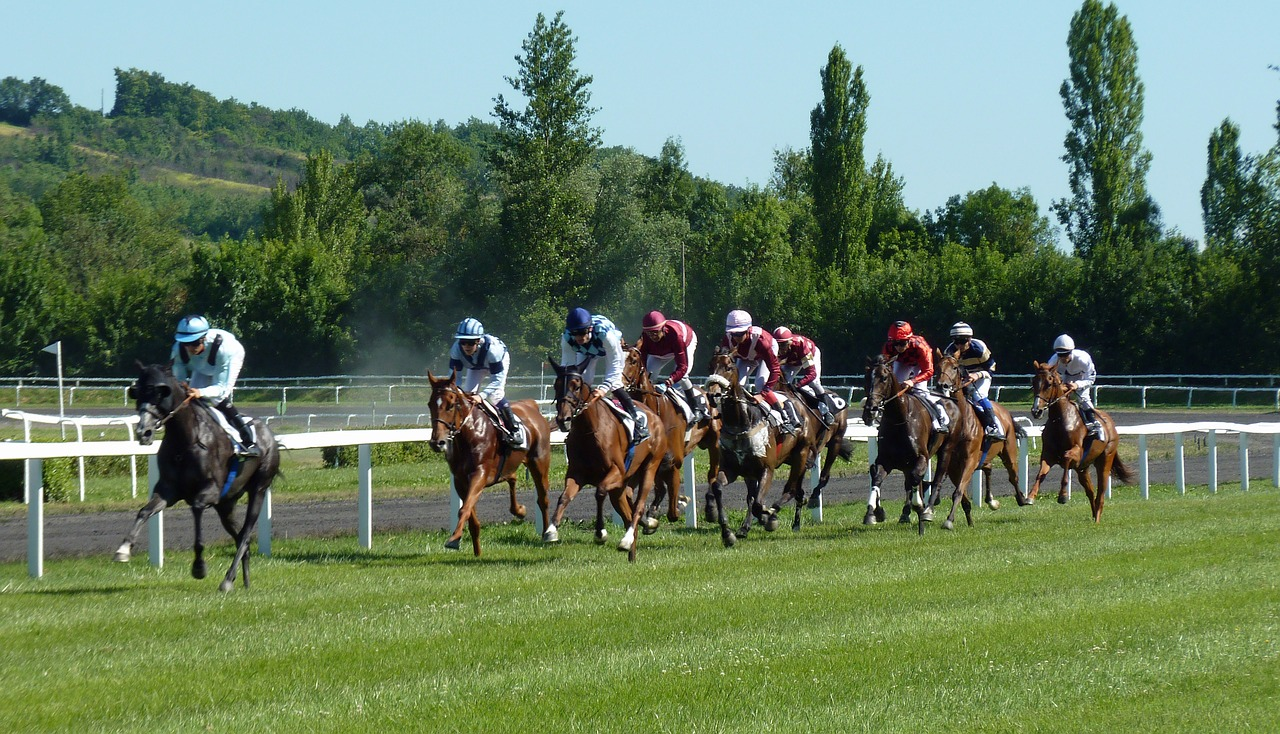 Horse Racing Tracks 