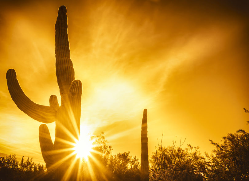 Here's where Phoenix ranks among top moving destinations AZ Big Media