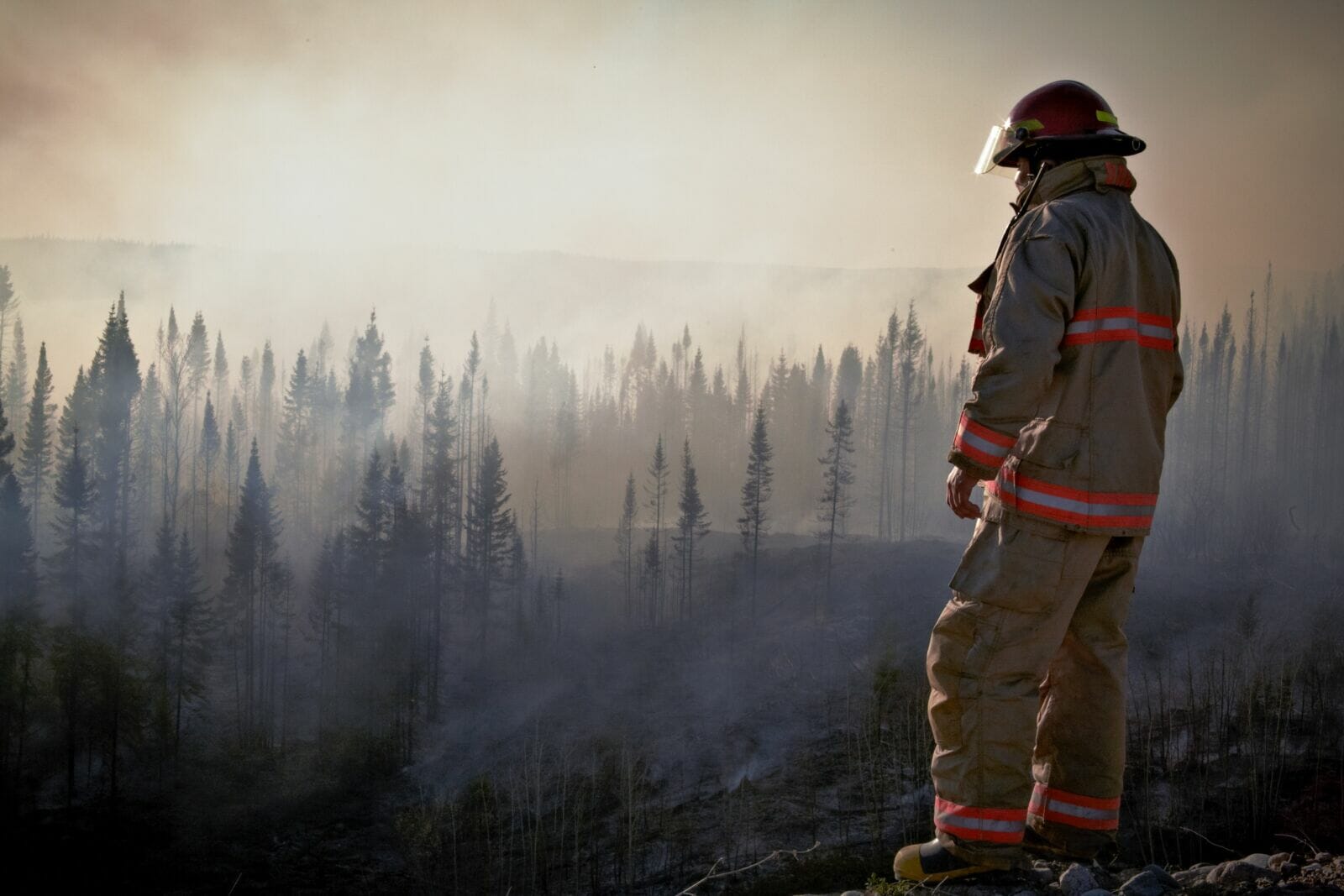 Arizona should brace for fire season despite wet winter, expert says - Vimarsana News